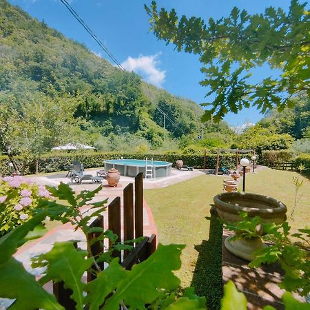 Casa Vacanze Il Boscaccio "Casa Serena" Fornovolasco Exterior foto