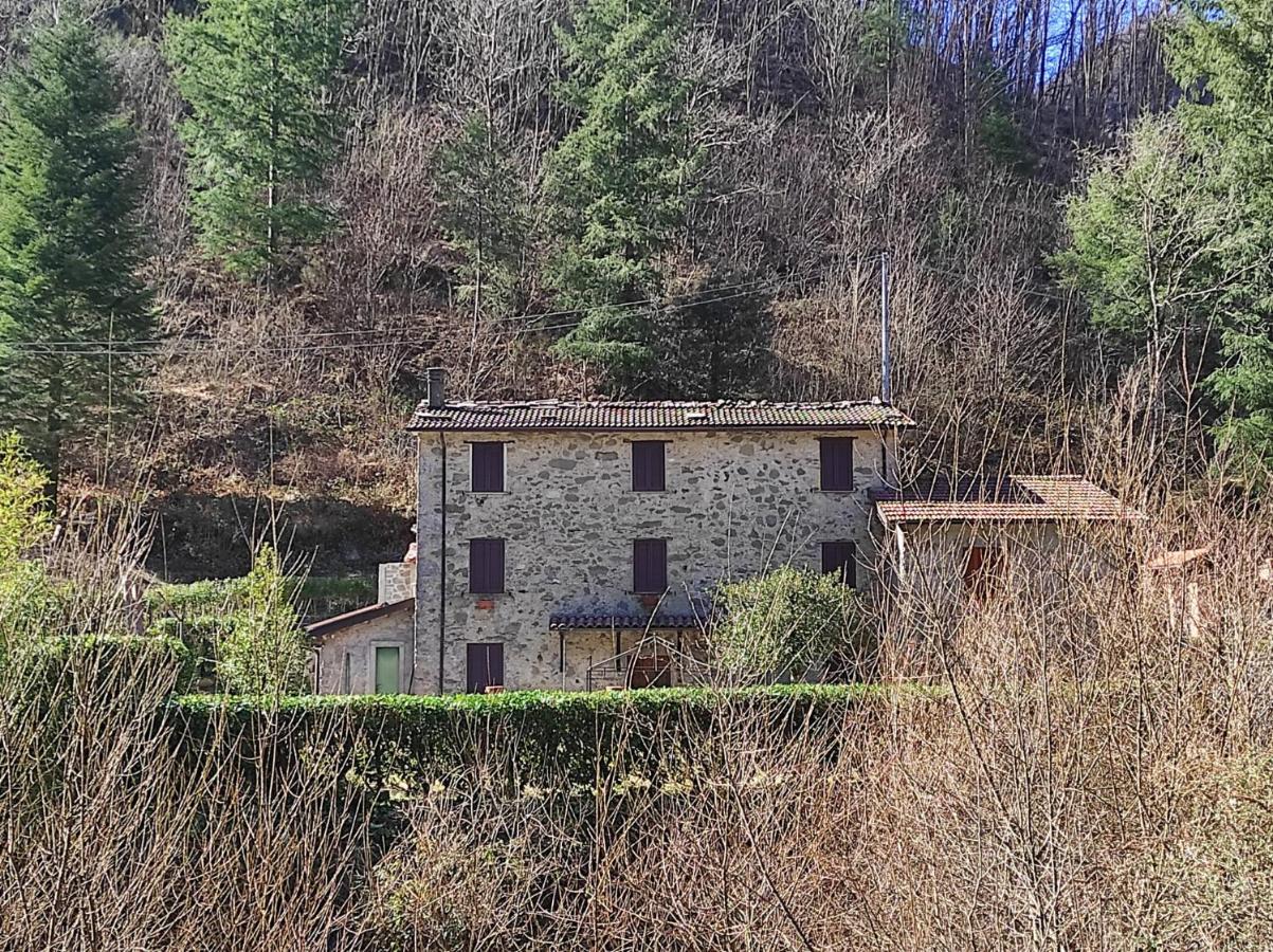Casa Vacanze Il Boscaccio "Casa Serena" Fornovolasco Exterior foto