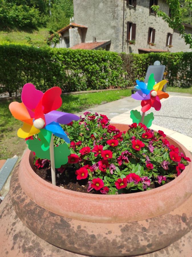 Casa Vacanze Il Boscaccio "Casa Serena" Fornovolasco Exterior foto